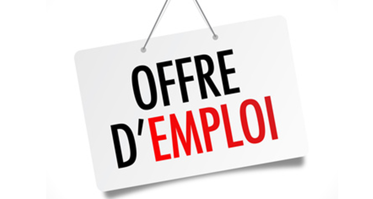 Offre d’emploi – Directeur périscolaire H/F