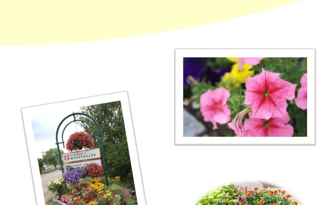 Concours des maisons et jardins fleuris